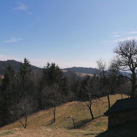 Apartment House Koprivnik Zreče Εξωτερικό φωτογραφία